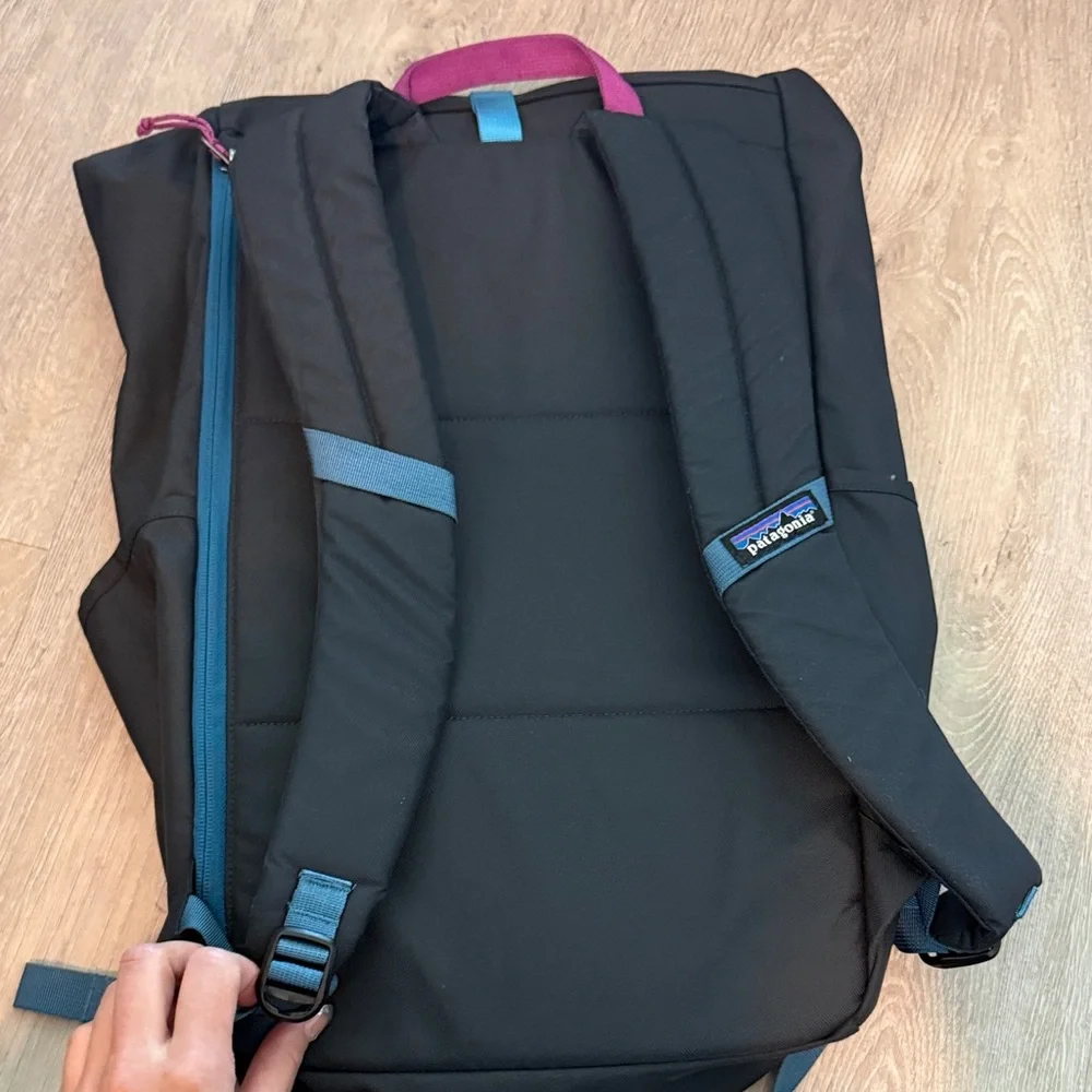 Patagonia blue Roll-Top Backpack with Blue Strap and Pink Accents - Picture 3 of 4